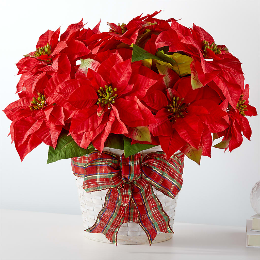 Happiest Holidays Poinsettia – Flower Parade, Mississauga ON