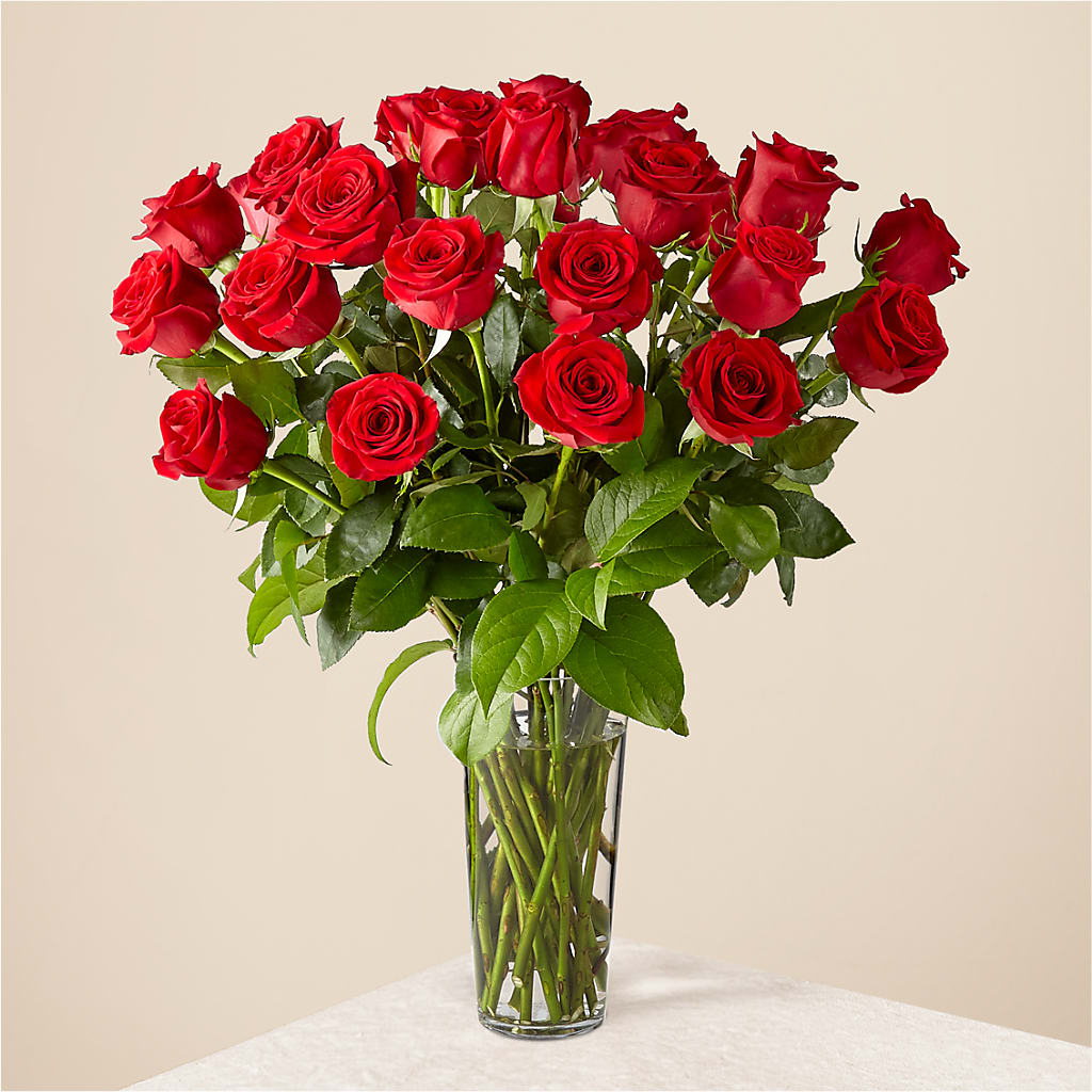 Long Stem Red Rose Bouquet – Flower Parade, Mississauga ON