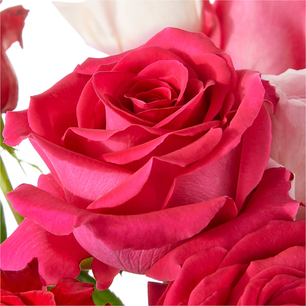 Love Notes Rose Bouquet – Flower Parade, Mississauga ON