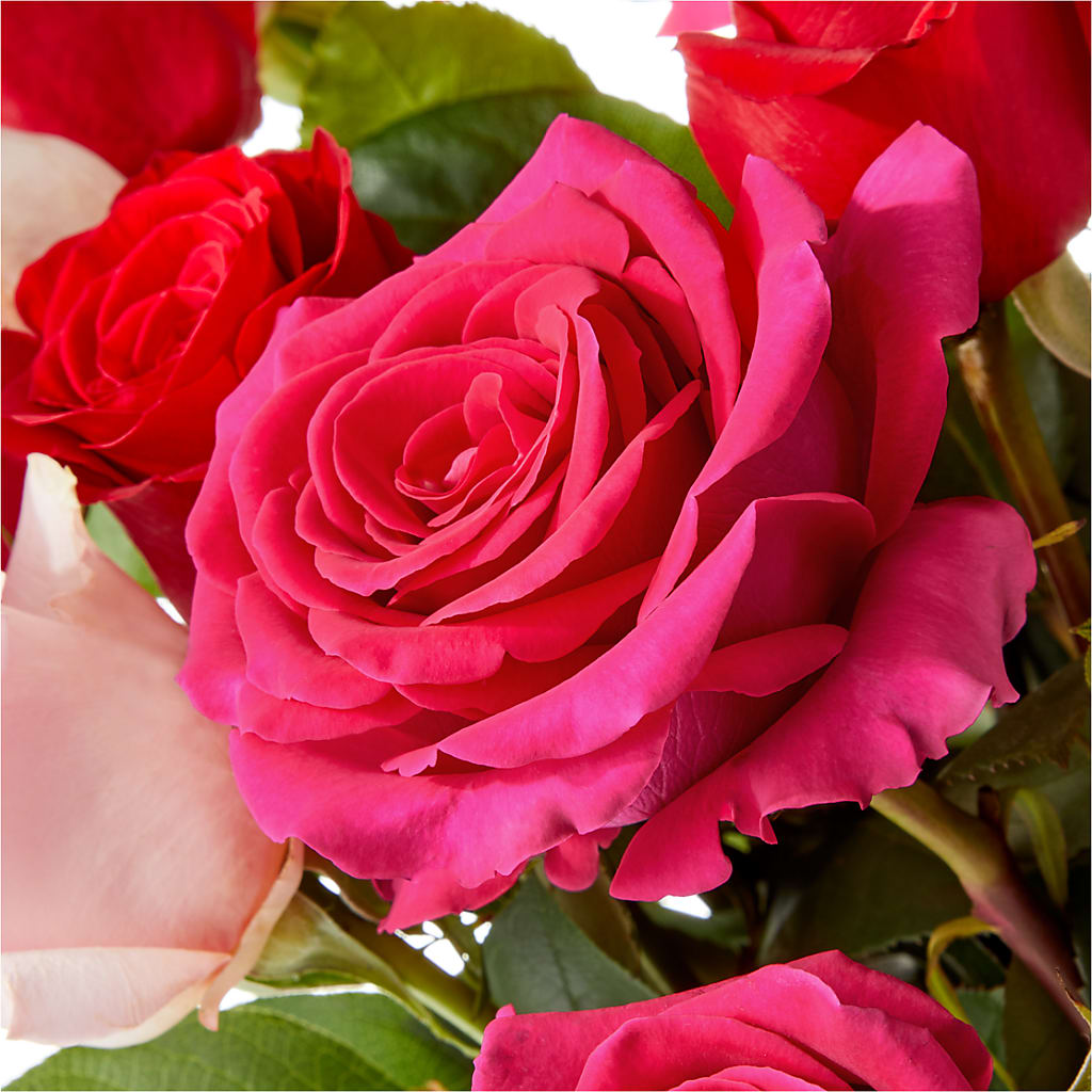 Love Notes Rose Bouquet – Flower Parade, Mississauga ON