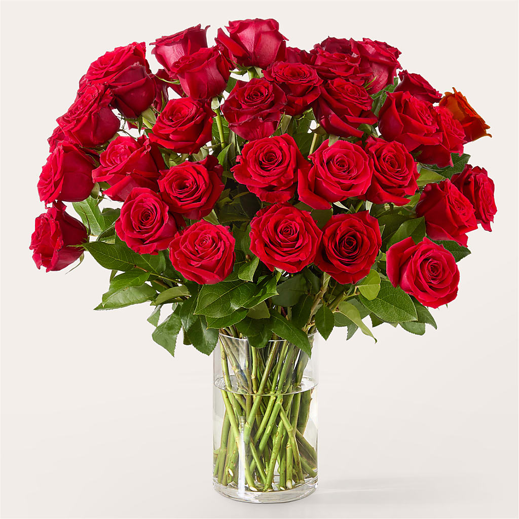 The One Red Rose Bouquet – Flower Parade, Mississauga ON