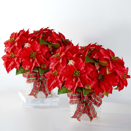 Happiest Holidays Poinsettia Bundle –  Flower Parade, Mississauga ON