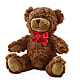 Adorable Plush Bear –  Flower Parade, Mississauga ON