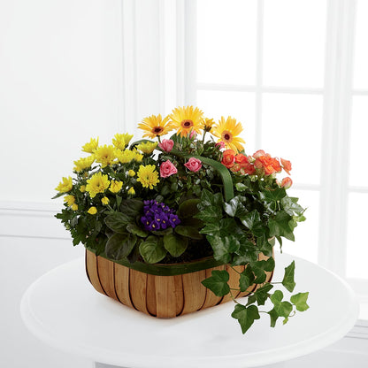 Gentle Blossoms Basket –  Flower Parade, Mississauga ON