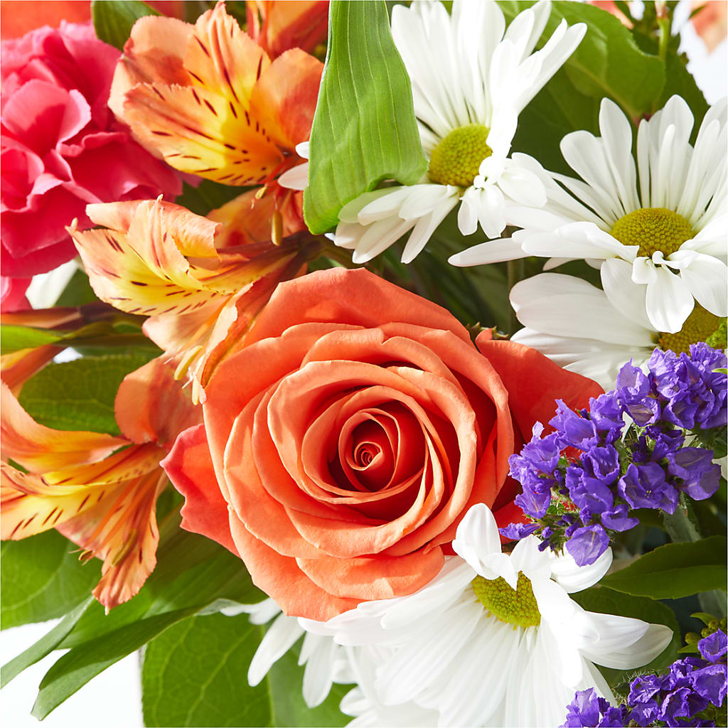 Oopsie Daisy Box Bouquet –  Flower Parade, Mississauga ON