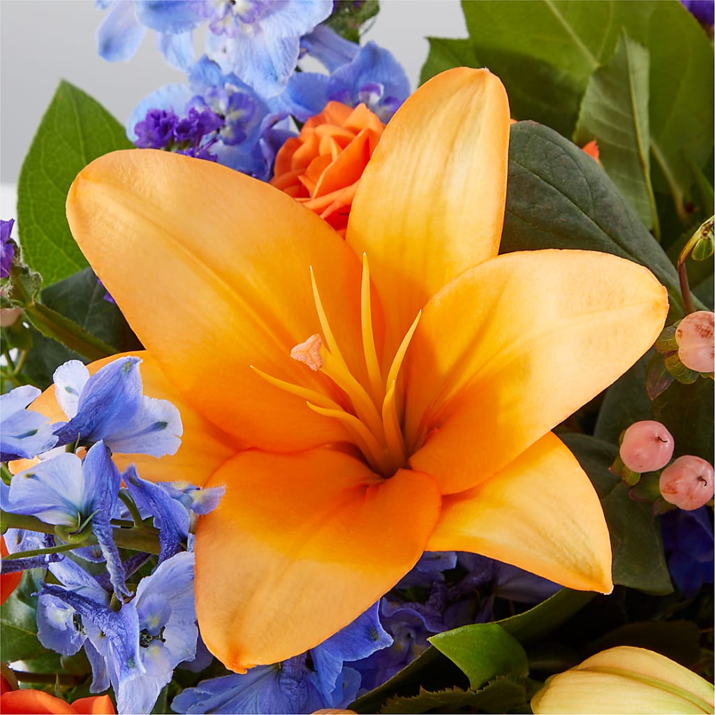 Radiant Citrus Box Bouquet –  Flower Parade, Mississauga ON