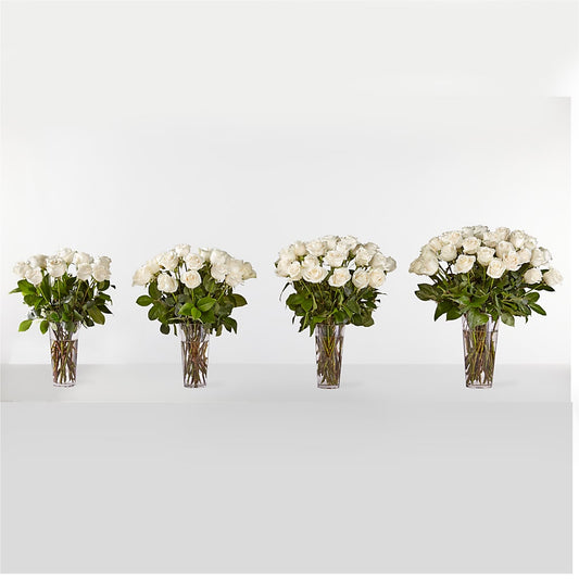 Long Stem White Rose Bouquet –  Flower Parade, Mississauga ON