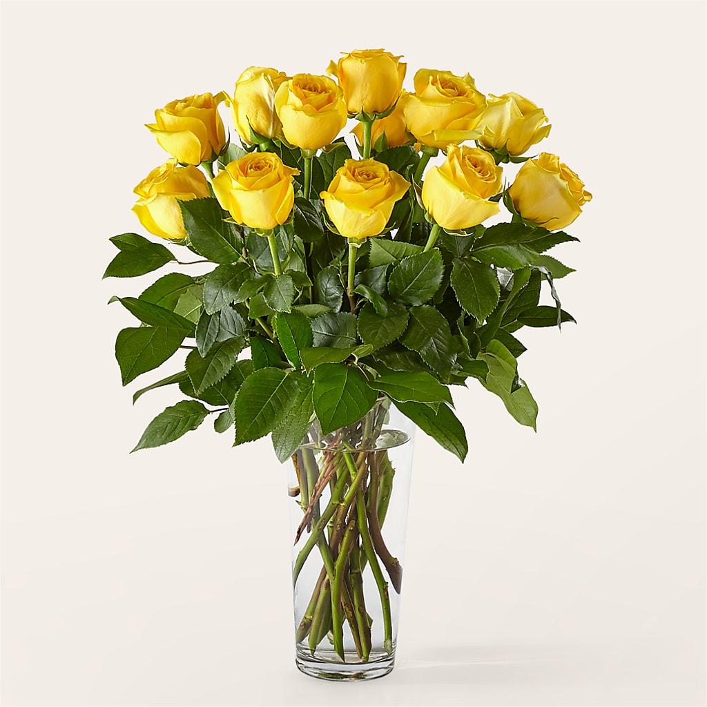 Long Stem Yellow Rose Bouquet –  Flower Parade, Mississauga ON