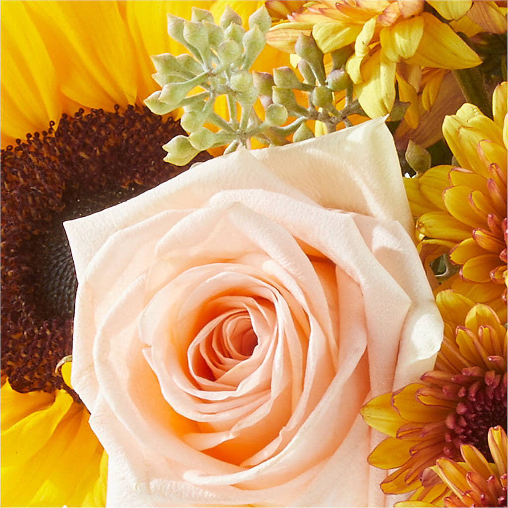 Pumpkin to Talk About Bouquet –  Flower Parade, Mississauga ON