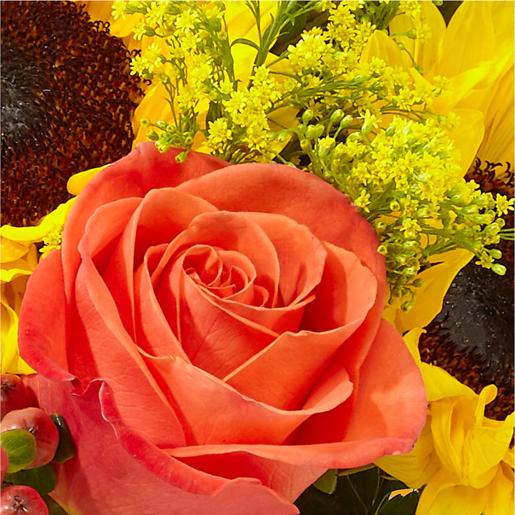 Pick of the Patch Pumpkin Bouquet –  Flower Parade, Mississauga ON