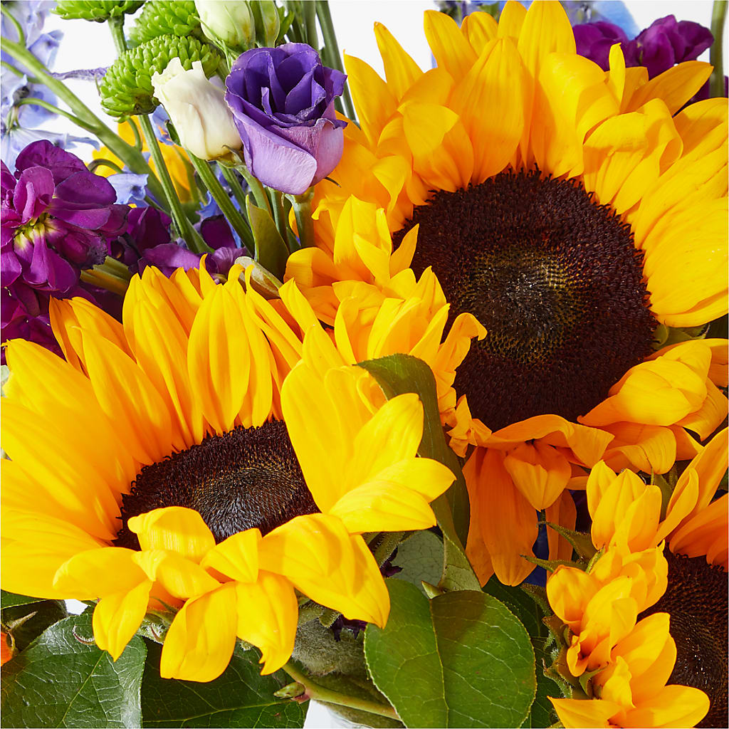 Catching Rays Bouquet –  Flower Parade, Mississauga ON
