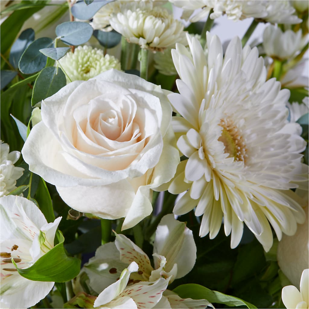 New Beginnings – A Florist Original –  Flower Parade, Mississauga ON