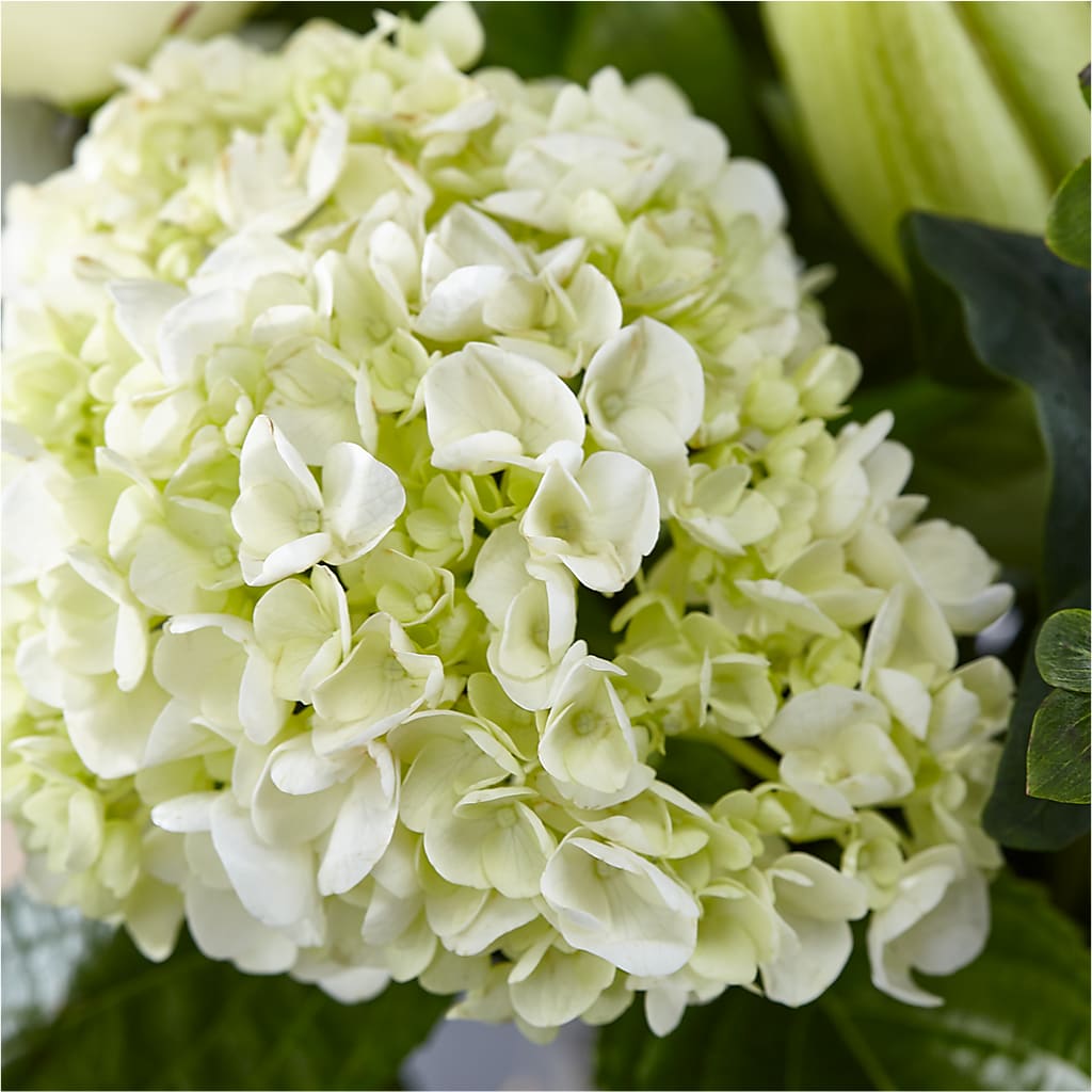 Classic Ivory – A Florist Original –  Flower Parade, Mississauga ON