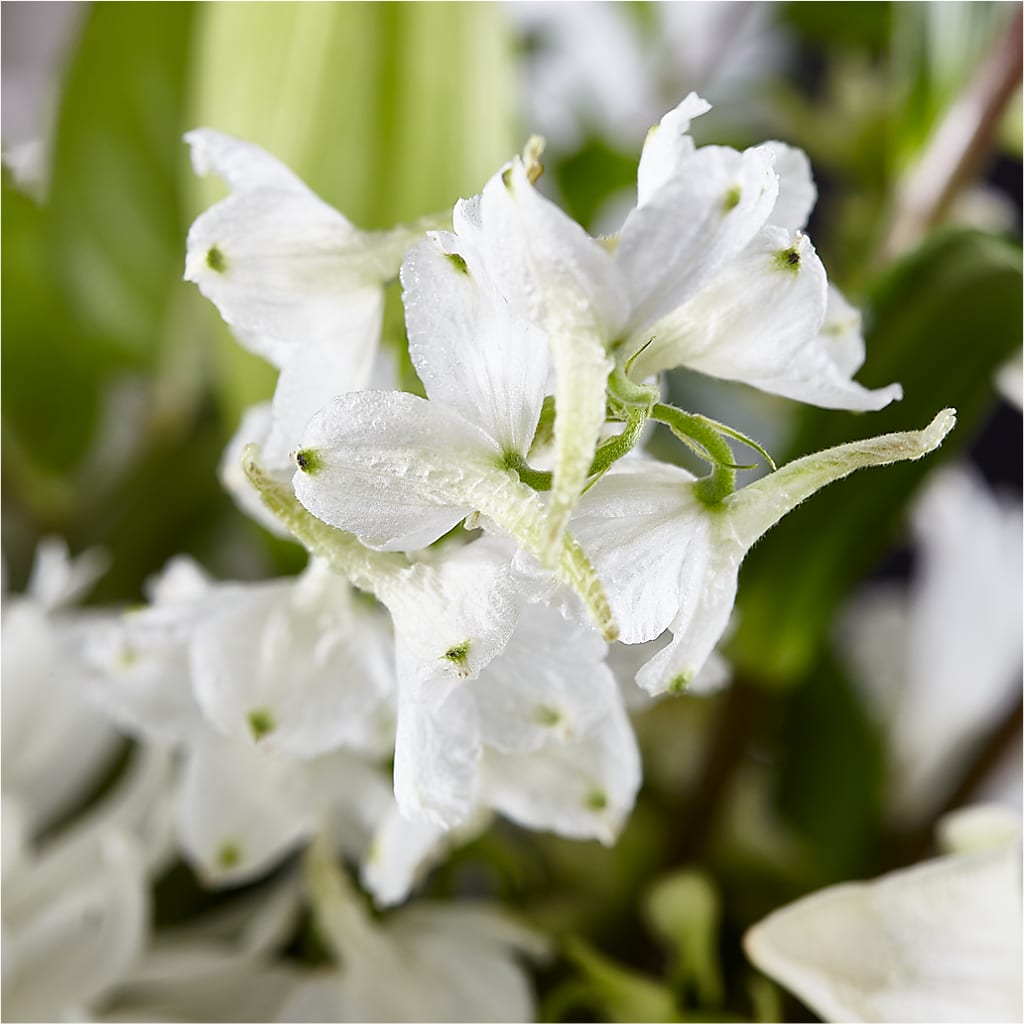 Classic Ivory – A Florist Original –  Flower Parade, Mississauga ON