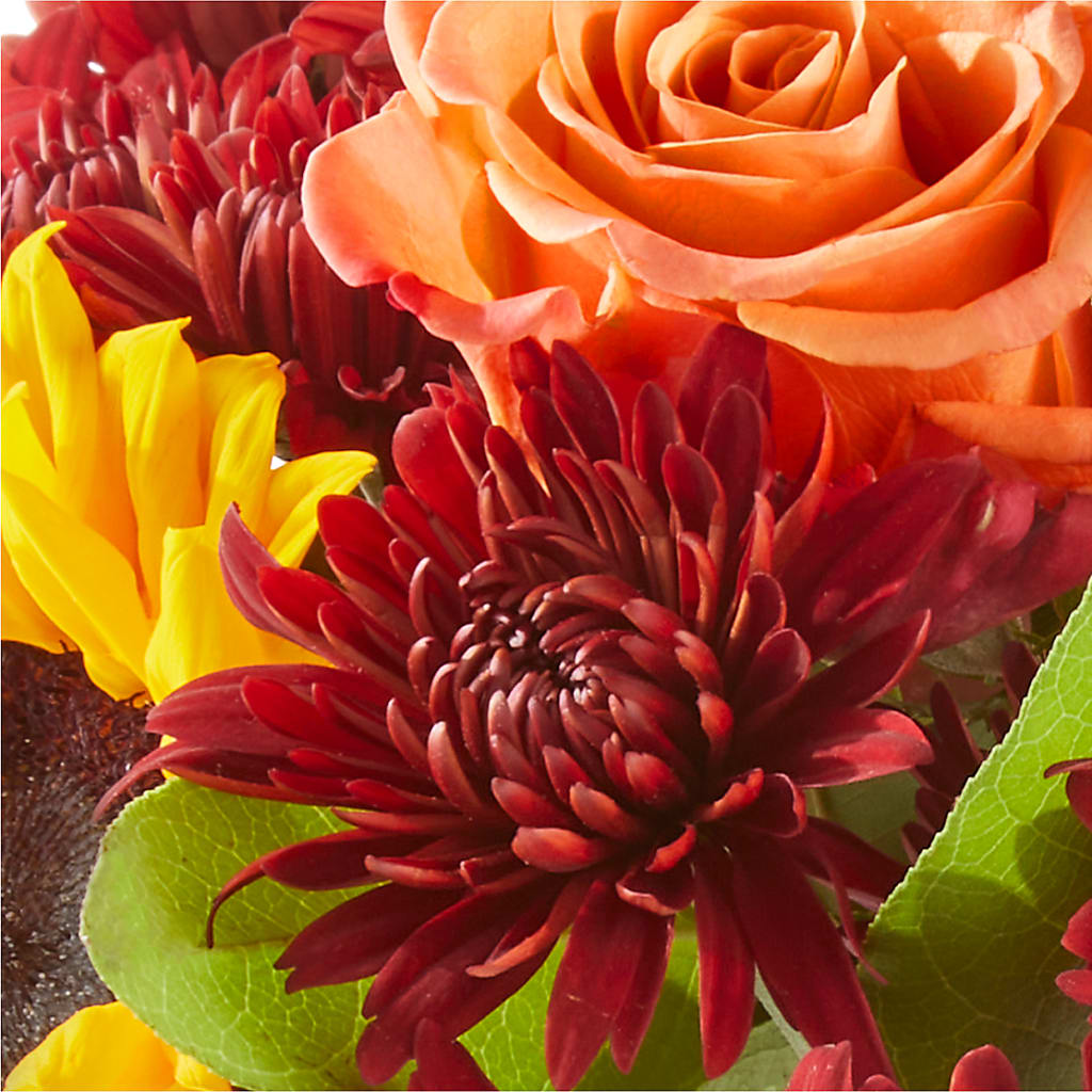 September Sunset Bouquet –  Flower Parade, Mississauga ON