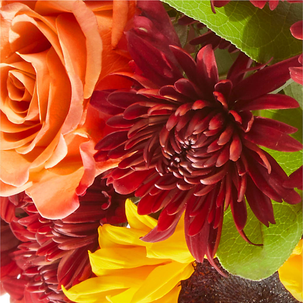 September Sunset Bouquet –  Flower Parade, Mississauga ON