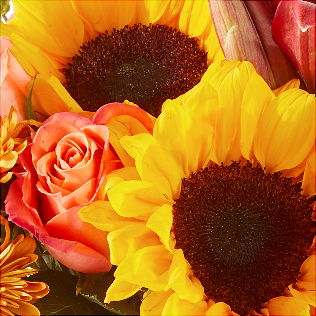 Acorn Lane Bouquet –  Flower Parade, Mississauga ON