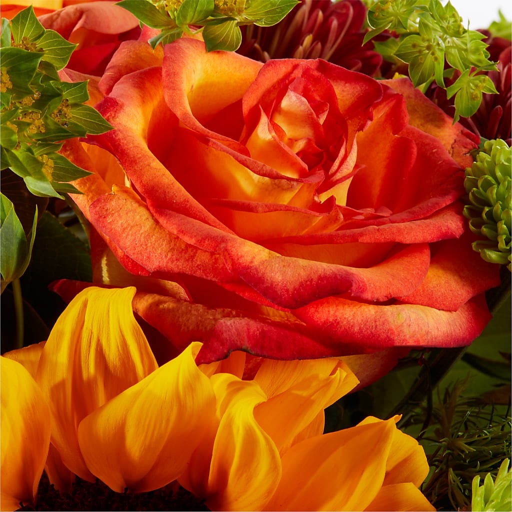 Harvest Festival Bouquet –  Flower Parade, Mississauga ON