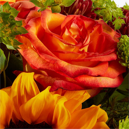 Harvest Festival Bouquet –  Flower Parade, Mississauga ON