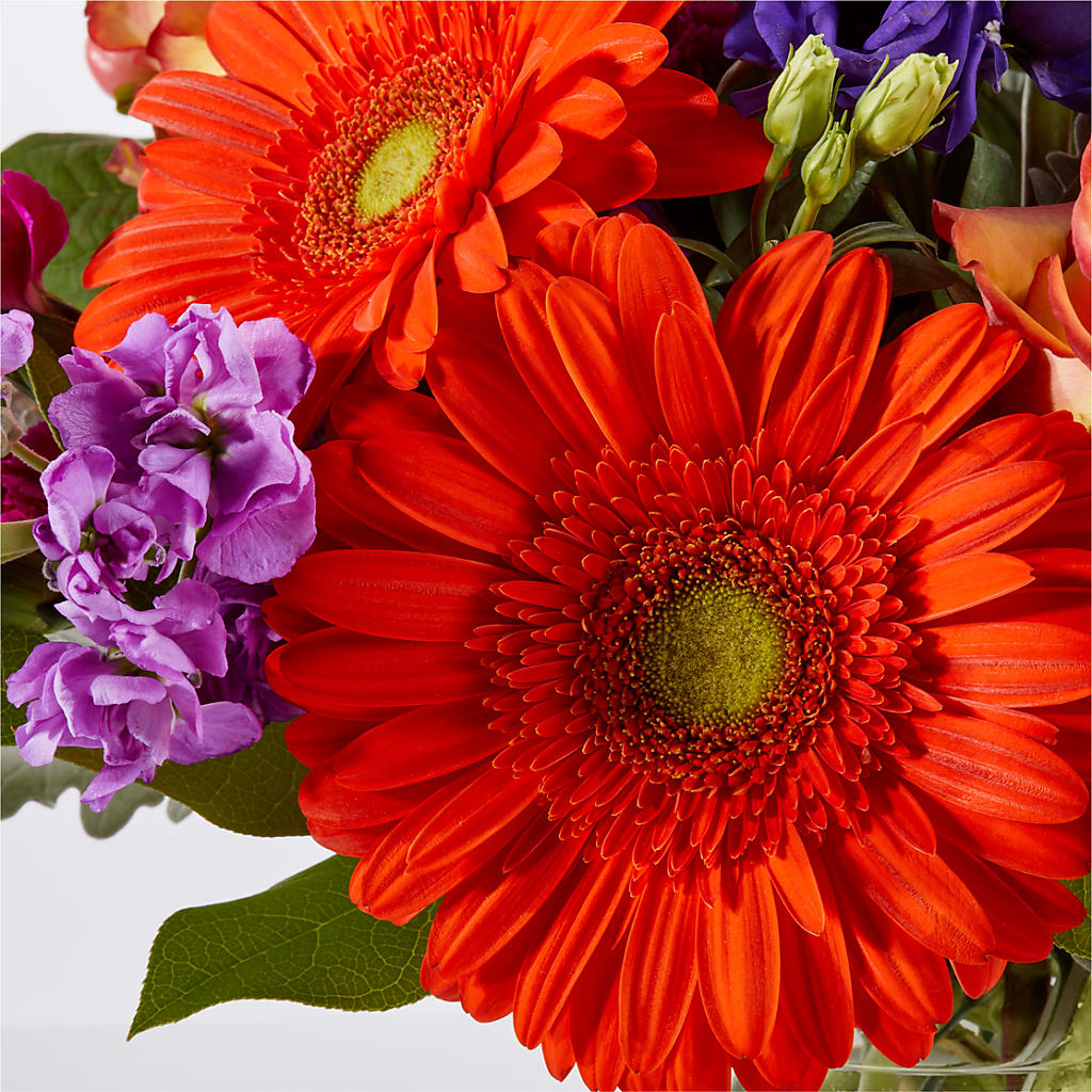 Sangria Bouquet –  Flower Parade, Mississauga ON