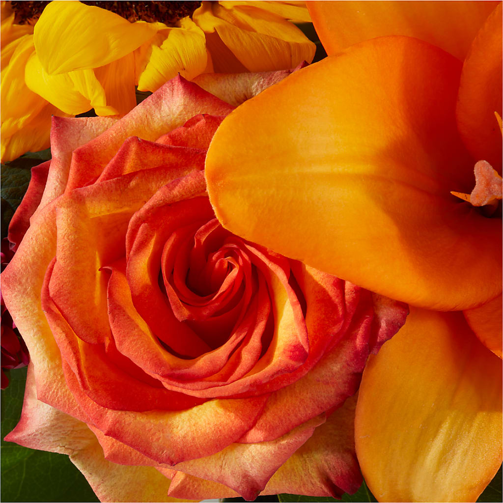 Grateful Centerpiece –  Flower Parade, Mississauga ON