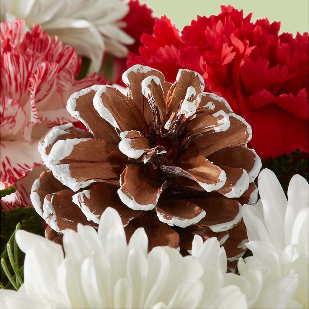 Candy Cane Lane Bouquet –  Flower Parade, Mississauga ON