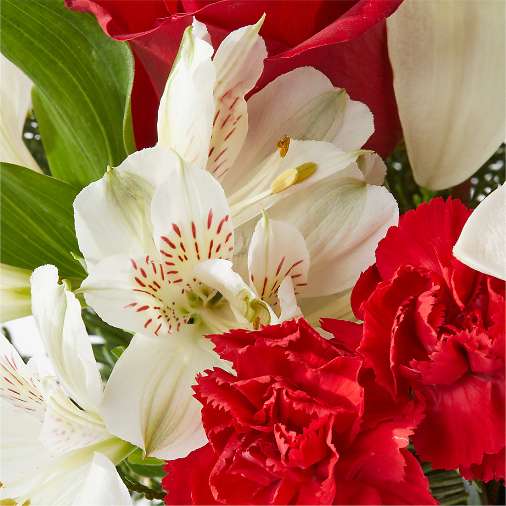 Holiday Season Bouquet –  Flower Parade, Mississauga ON