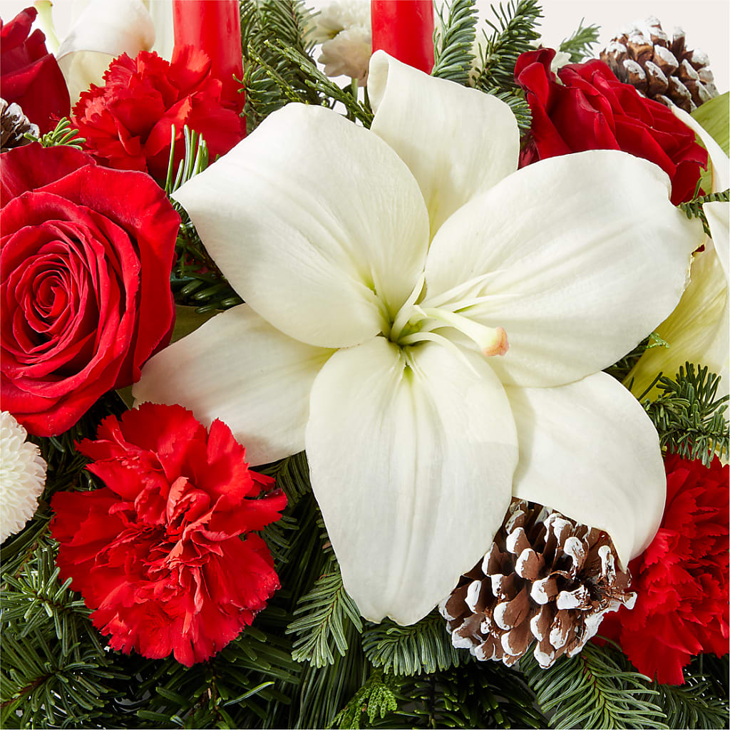 Seasonal Festivities Centerpiece –  Flower Parade, Mississauga ON