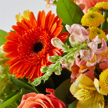 Autumn Sunshine Bouquet –  Flower Parade, Mississauga ON