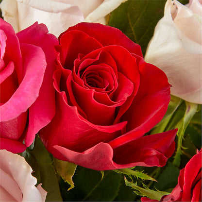Charming Rose Bouquet –  Flower Parade, Mississauga ON