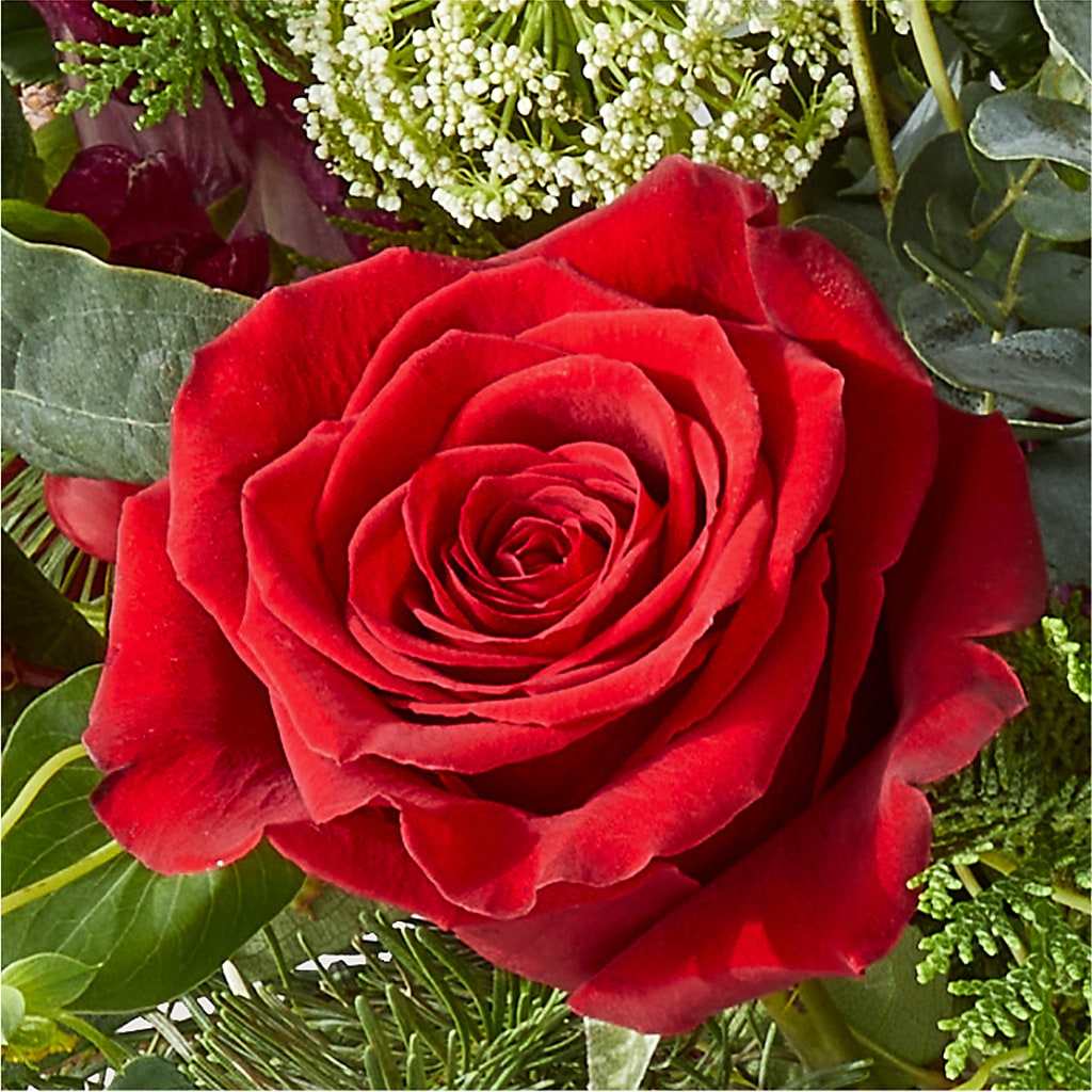 Cranberry Fizz Bouquet –  Flower Parade, Mississauga ON