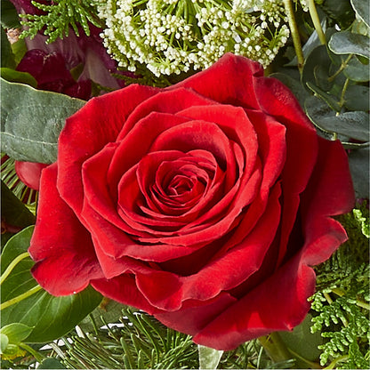 Cranberry Fizz Bouquet –  Flower Parade, Mississauga ON