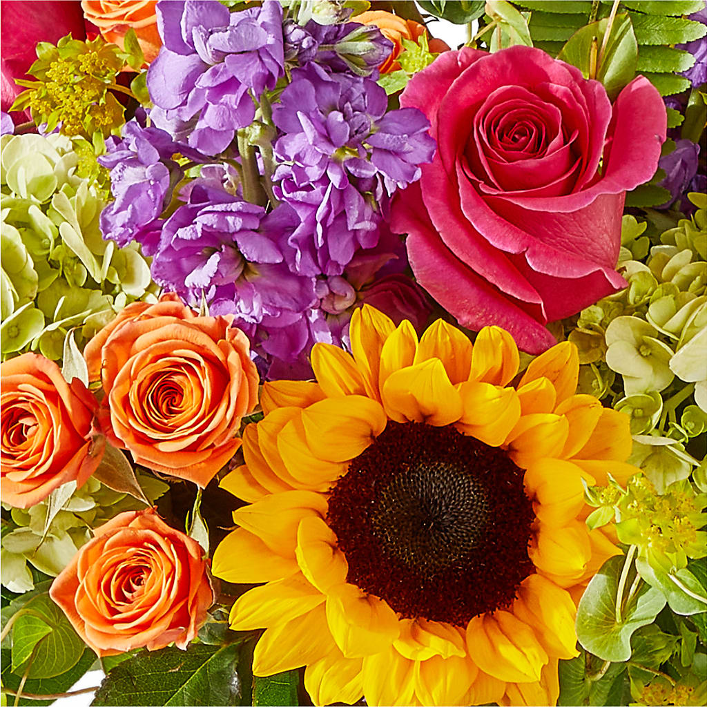 Vibrant Greetings Bouquet –  Flower Parade, Mississauga ON