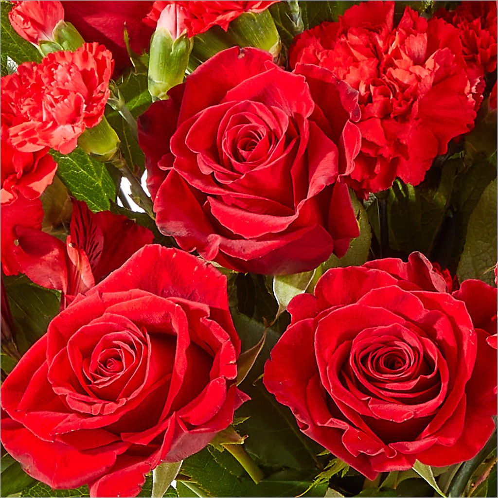 The Heartstrings Bouquet –  Flower Parade, Mississauga ON