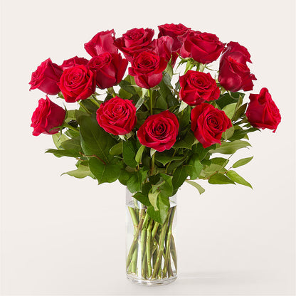 The One Red Rose Bouquet –  Flower Parade, Mississauga ON