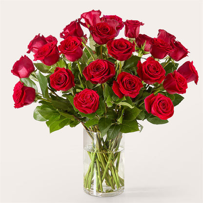 The One Red Rose Bouquet –  Flower Parade, Mississauga ON
