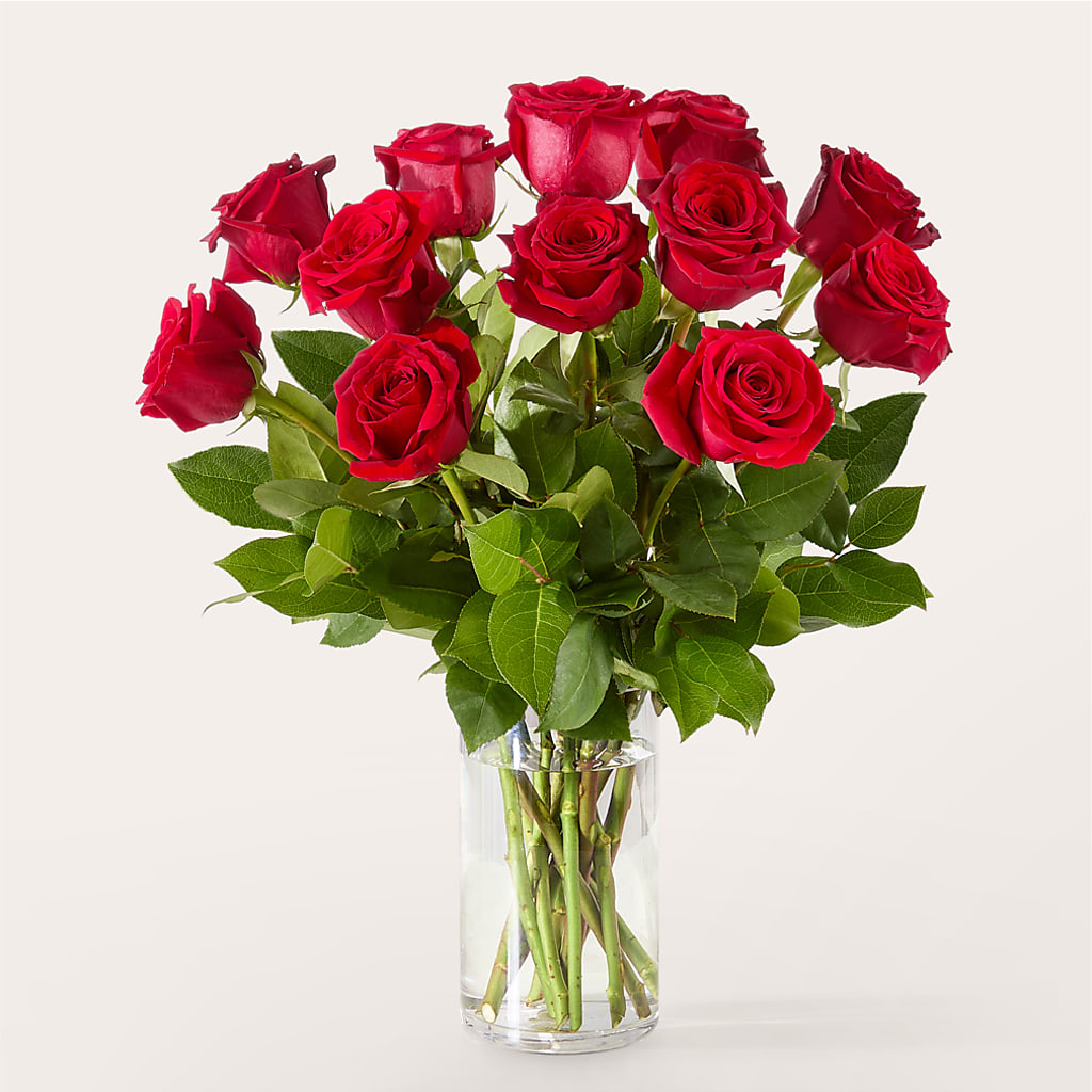 The One Red Rose Bouquet –  Flower Parade, Mississauga ON