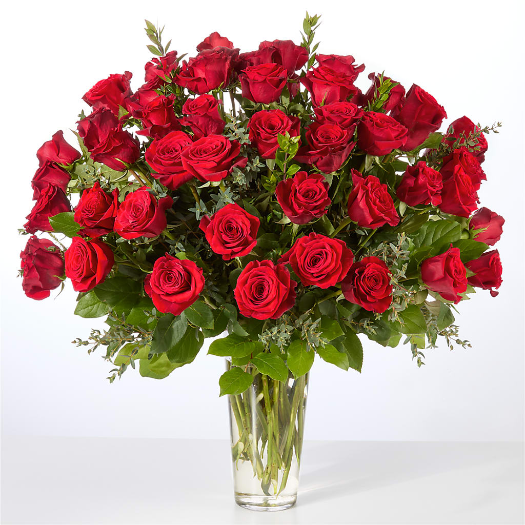 Forever Yours Fifty Stem Red Rose Bouquet –  Flower Parade, Mississauga ON