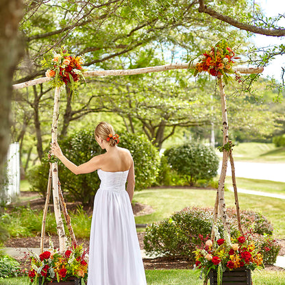 Arbor of Love Archway –  Flower Parade, Mississauga ON